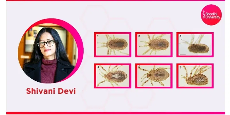 Shoolini University Researcher Discovers New Species in the Himalayas