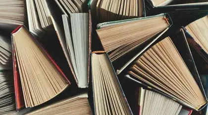 Rajasthan Board Books Download