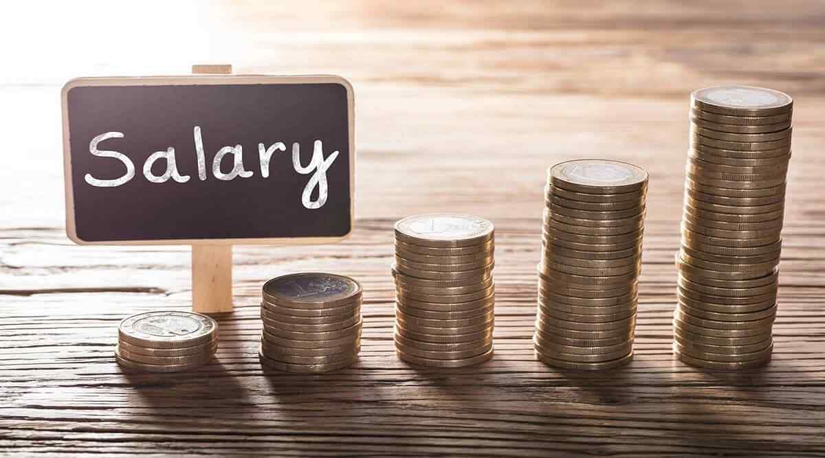 IBPS SO Salary 2024: Specialist Officer Salary, Job Profile, Allowances, Promotions, Perks