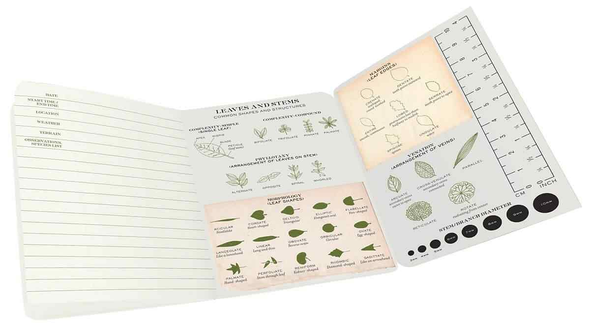 Plus One Botany Notes | Download Plus One Botany Notes PDF