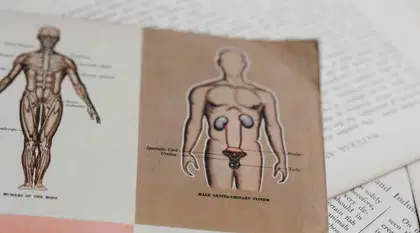 Tamil Nadu 11th State Board Biology Important Questions