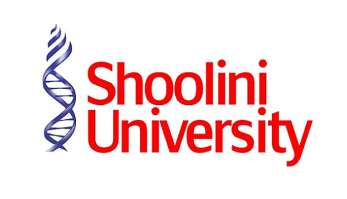 Benefits of Pursuing MBA After BA at Shoolini University