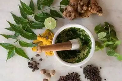 Ayurvedic Courses after 12th without NEET 2024: Eligibility, Top Colleges
