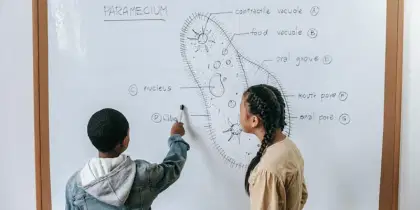  यूपी बोर्ड कक्षा 11 जीव विज्ञान पाठ्यक्रम 2023-24: पीडीएफ डाउनलोड