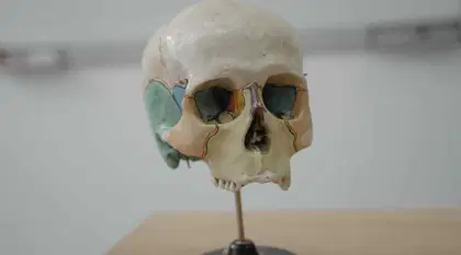 CBSE Class 12 Biology Paper Analysis 2024 - Expert Review