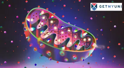 CBSE Class 12 Biology Marks Distribution 2024-25