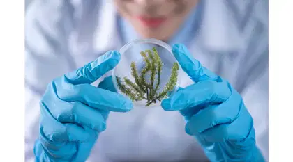 CBSE Class 12 Biology Syllabus 2024-25