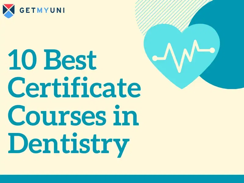 10 Best Certificate Courses in Dentistry in 2025: Online, Top Institutes & Professional Certificates