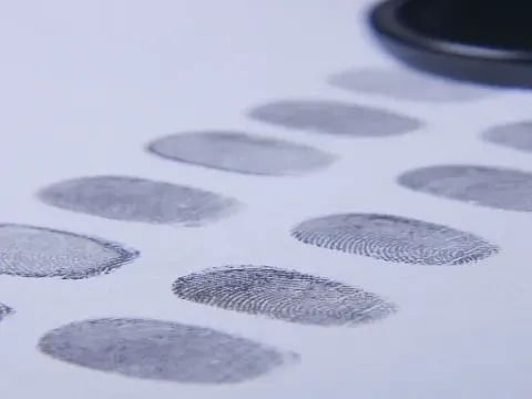 Classify Fingerprints