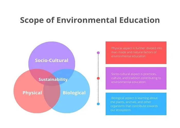 assignment on environmental education