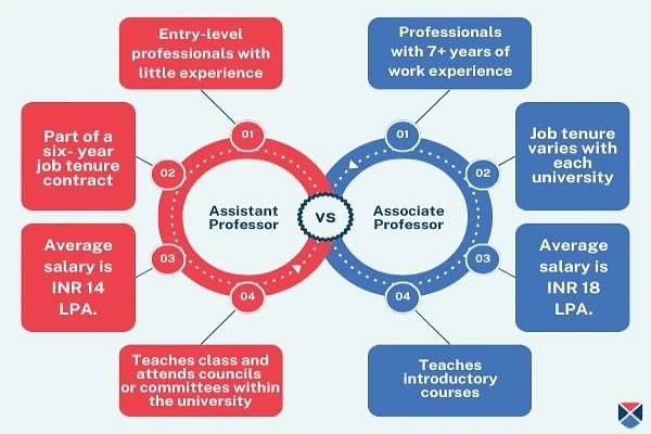 Assistant Professor vs Associate Professor