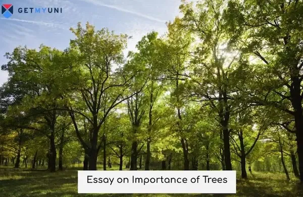 Essay on Importance of Trees