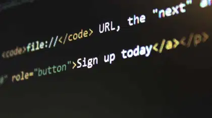 B.Sc IT Vs BCA: Which is Better?