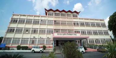 MLSU Previous Year Question Papers: Download PDF with Answers