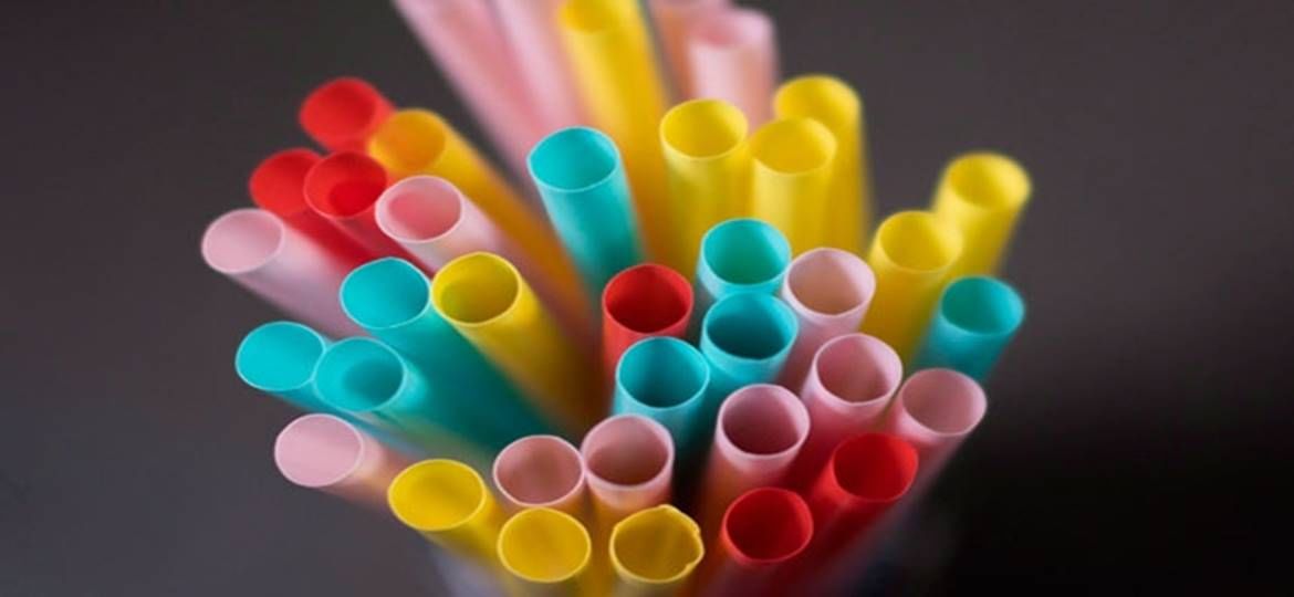 Plastic Ban - A Myth | Polymer Engineering at MIT-WPU