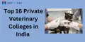 Top 16 Private Veterinary Colleges in India 2026