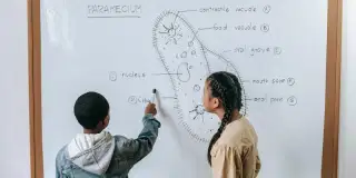 UP Board Class 11 Biology Syllabus 2024-25 - Download PDF