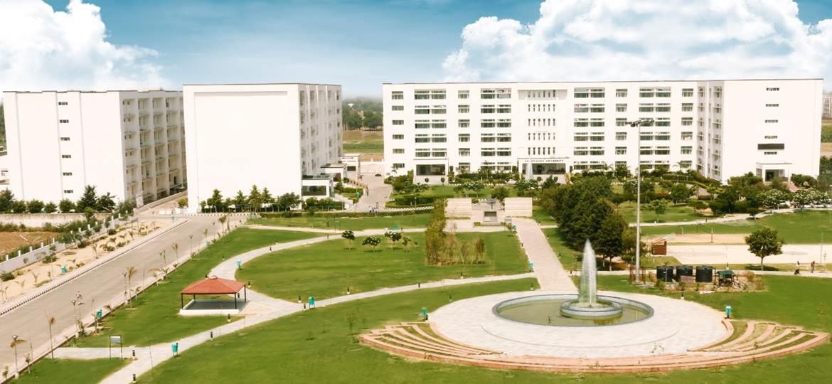 Why study Liberal Arts and Humanities at Chandigarh University?