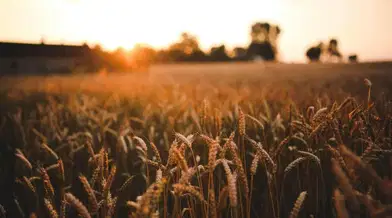 ICAR Paper Analysis 2023 Difficulty Level, Exam Analysis