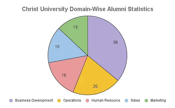 Christ University Domain-Wise Alumni Statistics