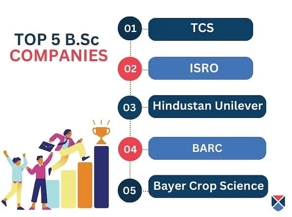 top-5-companies-for-bsc
