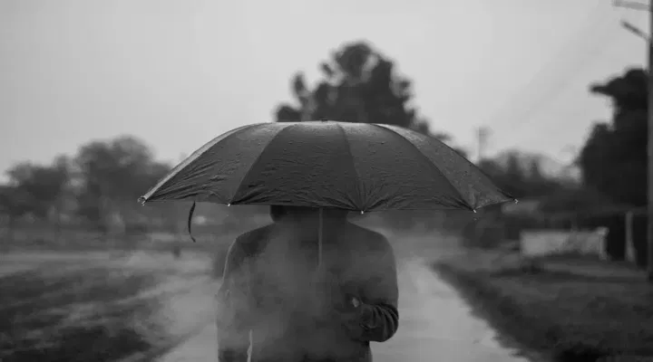 Karnataka School Holiday 24 October 2024 Due to Rain: Know Bangalore Holiday Update