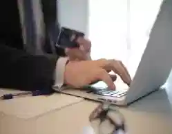 AP PGCET Counselling Dates 2024 Released: Know When the Registration Begins