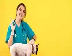 NEET UG Veterinary Round 1 Allotment Result 2025 Release Time