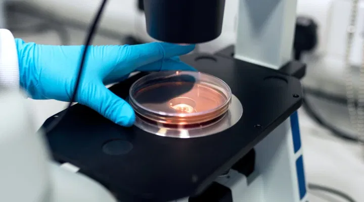MP Board Class 12th Biology 2024 Answer Key, Question Paper and Exam Analysis