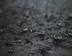 Will there be School Holiday in Kerala on August 14 due to rain?