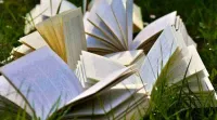 UCEED, CEED Answer Key 2024 Objection Window Closes Today: How to Raise Objections?