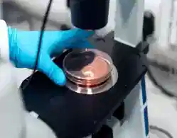 Kerala SSLC Biology 2024 Answer Key, Question Paper and Exam Analysis