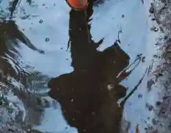 School Holiday 24 October 2024: Tamil Nadu, Andhra Pradesh, Odisha