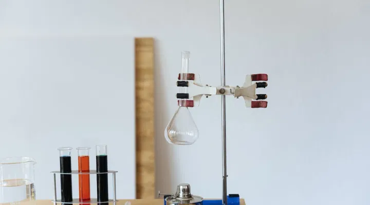 JEE Main 2024 Organic Chemistry: List of Most Important Topics