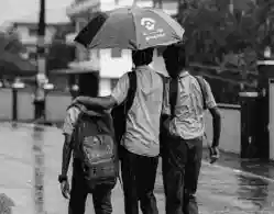 Andhra Pradesh School Holiday 3 September 2025: Will School Remain Closed?