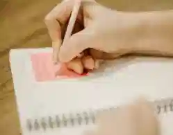 CUET UG History 2024: Chapter-wise Weightage, Preparation Tips