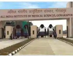 AIIMS Gorakhpur NEET UG MBBS Expected Cutoff Rank 2024