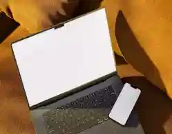 WBCAP Admission 2025 Registration Underway: Steps to Complete Application Form, Last Date Yet to be Announced