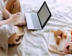 TS EAPCET 2024 Mock Test Link Activated at eapcet.tsche.ac.in: Direct Link Here