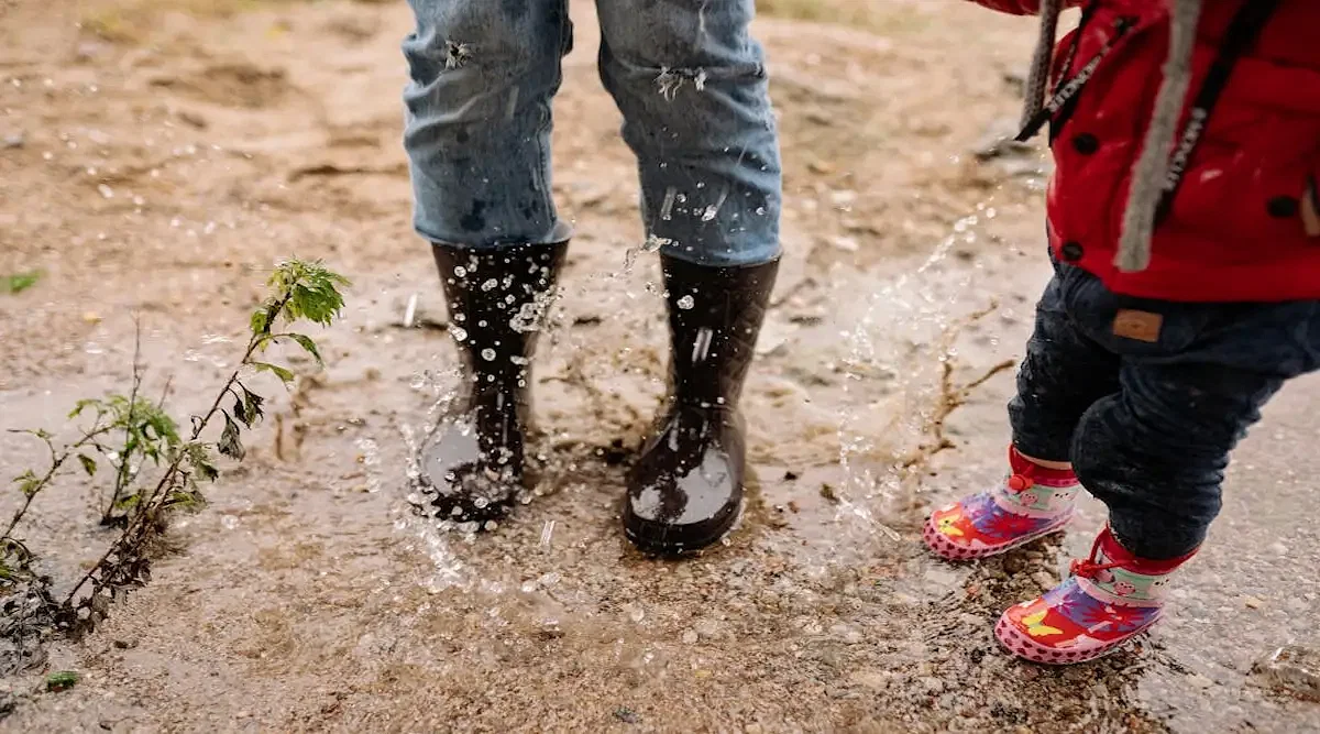 Tamil Nadu School Holiday 17 October 2024 Due to Rain (Live): List of District Declared Holiday