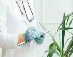 NEET PG 2024 Registration Window Closes Today, May 6 at natboard.edu.in: Check Application Fees