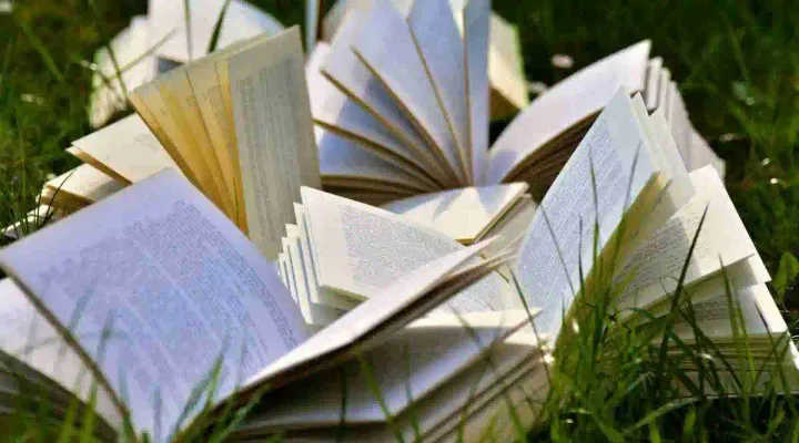 SEED 2024 Exam to Be Held Today, Jan 14: Check Exam Guidelines 