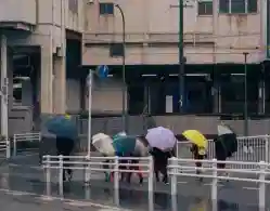 Maharashtra School Holiday Due to Rain 29 September 2025 LIVE: District Wise Alert, Latest Updates