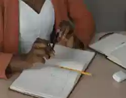 JEE Advanced 2024 Exam To Be Held on May 26: Check Exam Pattern and Marking Scheme