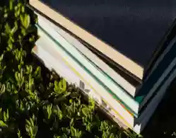 JEE Main Question Paper 1 February 2024 Shift 1