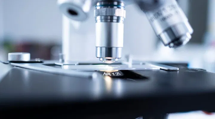 MP Board 12th Biotechnology 2024 Answer Key, Question Paper and Exam Analysis