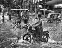 School Holiday on 6 August 2024 Due to Rain Live: Karnataka, Kerala, Rajasthan, Madhya Pradesh