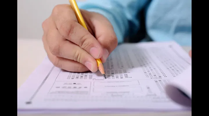 AIBE 19 November 14 Practice Questions 2024: Check List of Important Questions