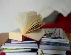 NEET UG Work Energy and Power Weightage 2025: Last 10 Year Trends