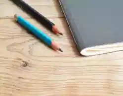 CSAS Simulated Rank List DU 2024 PDF Download Link